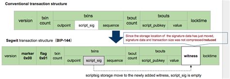 Bitcoin: Is the scriptSig spending an PayToAnchor output expected to always be empty?
